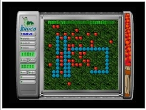 Screen_IlBruco_demo.jpg (13964 byte)