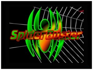 Screen_SpiderBuster_demo.jpg (13575 byte)